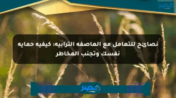نصائح للتعامل مع العاصفة الترابية: كيفية حماية نفسك وتجنب المخاطر